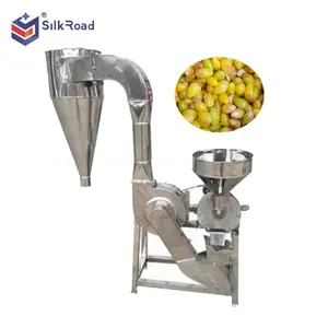 Professionele Ginkgo Moer Peeling Machine