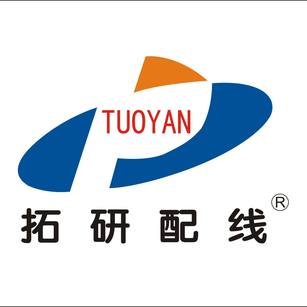 Wujiang Tuoyan Co., Ltd. logo