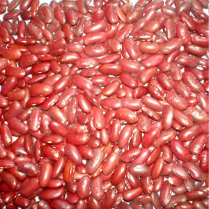 Tipo Long (tipo británico) frijoles rojos - Product Image 1