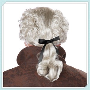 Parrucca Sintetica Grigia per Uomo Adulto Stile XVIII Secolo per Feste HPC-0063 - Product Image 3