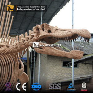 Mi dinosaurio esqueleto de Spinosaurus de tamaño Real de Dino para centro comercial, guardería y exposiciones de jardín de infantes en el aeropuerto - Product Image 4