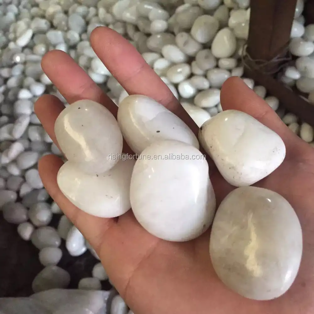 庭用の磨かれた白い小石