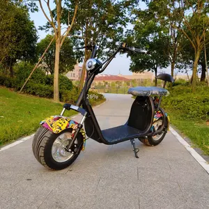 Trike chopper motosiklet/etiket spor bisiklet woqu citycoco 2 hub tekerlekli elektrikli scooter