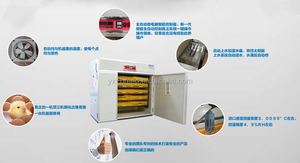 Incubateur de ferme volaille <span class=keywords><strong>20000</strong></span> automatique, Offre Spéciale œufs, bon marché - Product Image 6