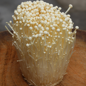 Compradores para detan fresco setas Enoki - Product Image 2