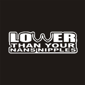 Calcomanía de Vinilo Impermeable con Diseño de <span class=keywords><strong>Slang</strong></span> Personalizado (LOWER) para Parachoques/Ventanas/Autos - Product Image 3