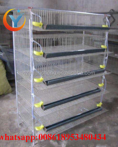 Jaula para Codornices Ponedoras, Jaulas de Batería para Codornices al por Mayor a Bajo <span class=keywords><strong>Precio</strong></span> - Product Image 1