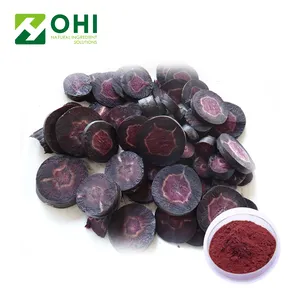 Radish Root Ferment Extract Red Radish Color