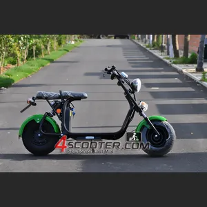EEC big power 1600w 2 wheel citycoco off road mobility unfolding electric