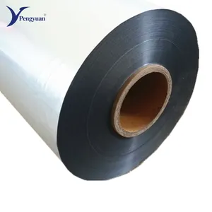 PE Coated Aluminum Foil Metallized Aluminum Pet Film