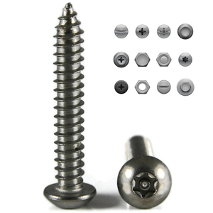 Chine caméra <span class=keywords><strong>vis</strong></span> fabricant auto-taraudage <span class=keywords><strong>vis</strong></span>, m3/m4 pan/tête plate torx titane cuivre/304 en acier inoxydable <span class=keywords><strong>vis</strong></span> <span class=keywords><strong>parker</strong></span> - Product Image 1