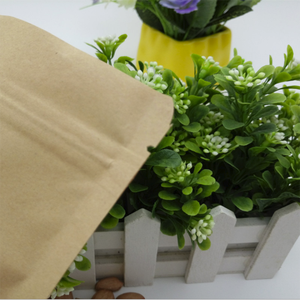 Tự nhiên có thể tái chế giấy kraft túi thực phẩm có thể khóa lại dây kéo thân thiện với môi đứng túi cho cà phê flexo in bao bì tùy chỉnh - Product Image 5