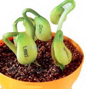 Oemplant kırmızı sihirli fasulye bitki büyüyen kelime mesaj fasulye için yenilik hediye - Product Image 3