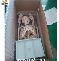 Modèle d'anatomie du squelette humain en PVC BIX-A1006, 42 cm de haut, outil de formation pour les étudiants en sciences médicales