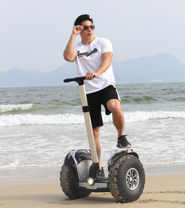 <span class=keywords><strong>Trotinette</strong></span> électrique 2400w, voiture à roulettes, chariot tout-terrain de 19 pouces - Product Image 2