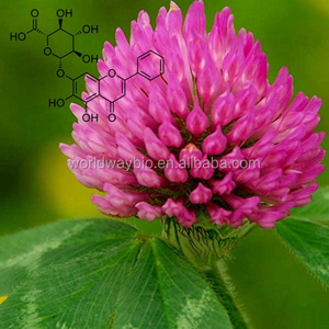 Venta caliente 100% Plantas de Estrógeno Natural Rojo Trébol Trifolium Pratense L. con extracto de 8% de <span class=keywords><strong>Isoflavonas</strong></span> - Product Image 3