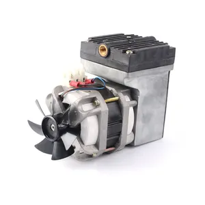 Küçük hava diyafram kompresör pompaları, hava pompası motoru