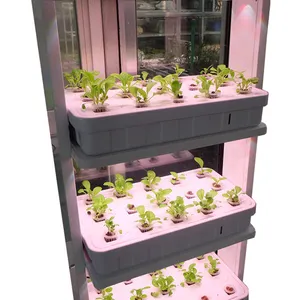 ONEONE Hydroponic growing systems vertical hydroponic system Indoor Planting