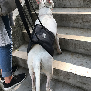 <span class=keywords><strong>Harness</strong></span> Anjing yang Nyaman untuk Berjalan, Penyangga untuk Anjing Tua atau Cedera, Mendukung Kaki Belakang dan Fitur Sling Bantu - Product Image 6