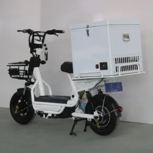 DC Ice Cream Refrigerated Motorcycle Delivery Box For Cold Chain Delivery