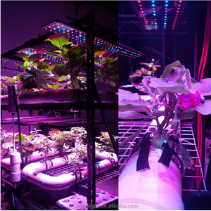 2016 efecto invernadero agrícola sistema aeroponía SP500 120 w epistar bridgelux crees hans panel led crece la luz la planta - Product Image 1