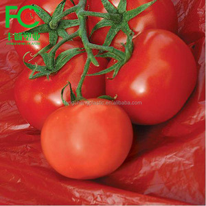 Paillis de tomates rouges, film de paillage en plastique noir, couverture du sol agricole, prix du rouleau de film de paillage bon marché - Product Image 3
