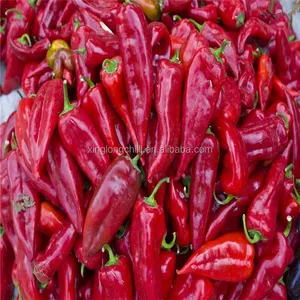 Low price wholesale sweet Yidu chilli pepper