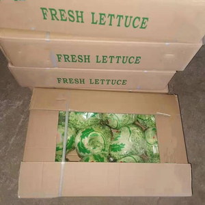 Laitue fraîche <span class=keywords><strong>de</strong></span> jardin pour l'exportation vers <span class=keywords><strong>Lotte</strong></span> - Product Image 4