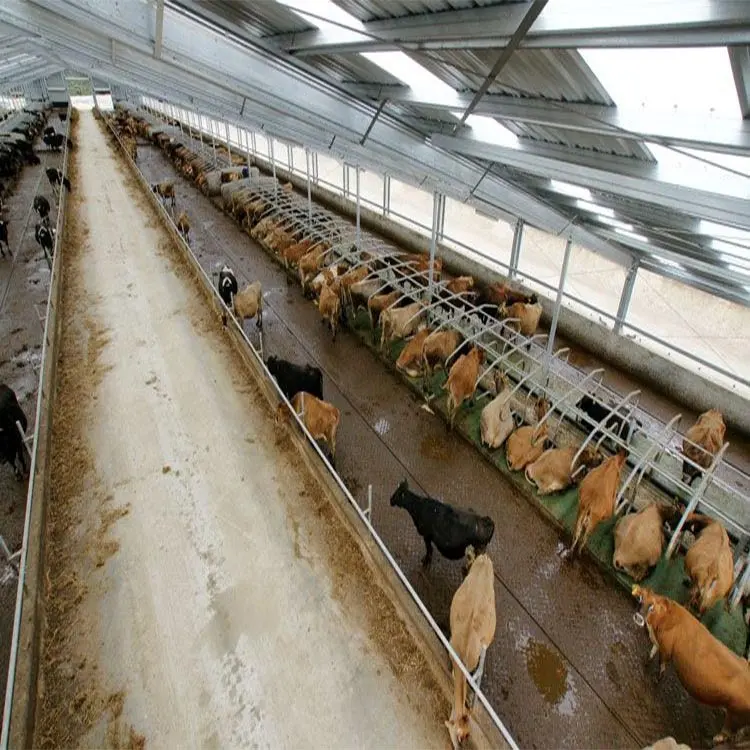 Ferme de bouches ajourées de haute qualité, 1 pièce, structure en acier