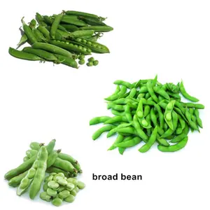 Buon prezzo di fagioli verdi pisello della pelle peeling macchina/edamame huller macchina piccione piselli sheller macchina bombardamenti di