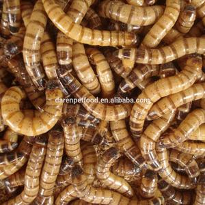 Alimentador congelado supergusanos para mascotas pájaros lagartos Geckos erizos camaleones hámster golosinas y cebo de pesca al por mayor - Product Image 2