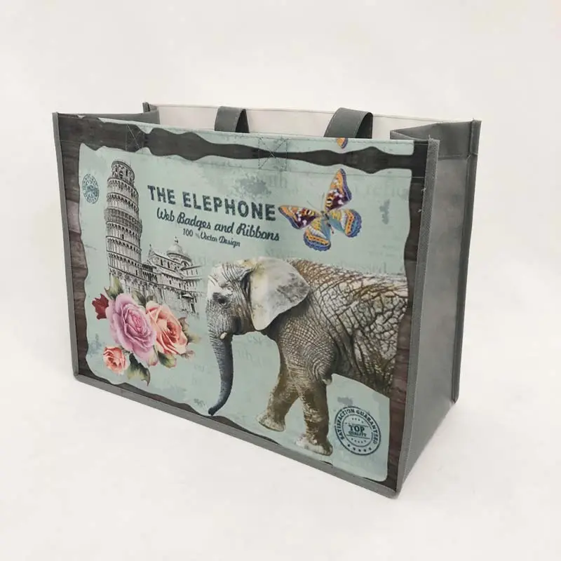 welcome fast delivery full color printing Elephant PET PP non woven bag for small quantity order