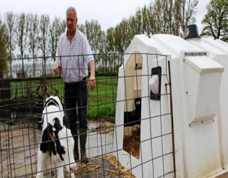 Австралия, лидер продаж, крупный рогатый скот на 0-3 месяца