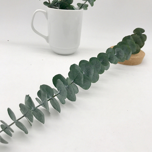 คุณภาพสูงแห้งใบ <span class=keywords><strong>eucalyptus</strong></span> ที่เก็บรักษาไว้สำหรับตกแต่ง - Product Image 5