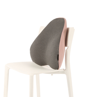 Coussin de soutien lombaire ergonomique respirant pour chaise de bureau/ordinateur et fauteuil roulant