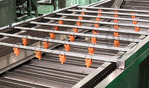 Équipement de lavage des fruits et légumes, machine de nettoyage de la <span class=keywords><strong>laitue</strong></span> - Product Image 6