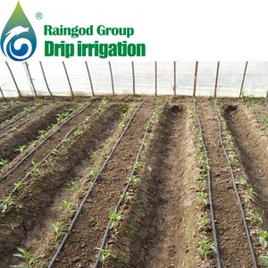 Sistema de Riego por Goteo para Agricultura, Otros Sistemas de Riego, Cinta de Riego por Goteo con <span class=keywords><strong>Emisor</strong></span> Plano - Product Image 6