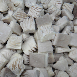 Detan Frozen <span class=keywords><strong>Pleurotus</strong></span> <span class=keywords><strong>Ostreatus</strong></span>/Noms de Champignons Comestibles - Product Image 5