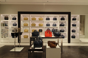 Scaffale di esposizione su misura dei negozi della catena della borsa di modo di progettazione d'interni del negozio al dettaglio di Lady Crossbag - Product Image 2