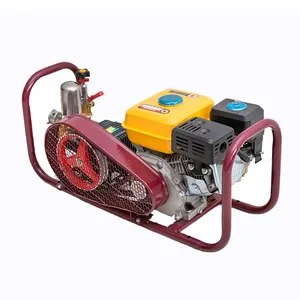 Supplier China agriculture portable agricultural gasoline/petrol GX160 power sprayer