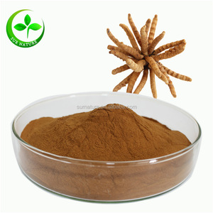 天然高品质Yarchagumbaエキス/cordyceps Sinensisエキス - Product Image 1