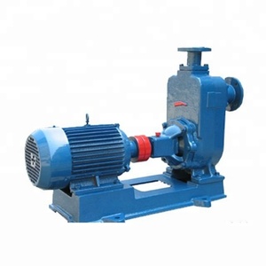 Самовсасывающие центробежные насосы серии ZW - Product Image 5