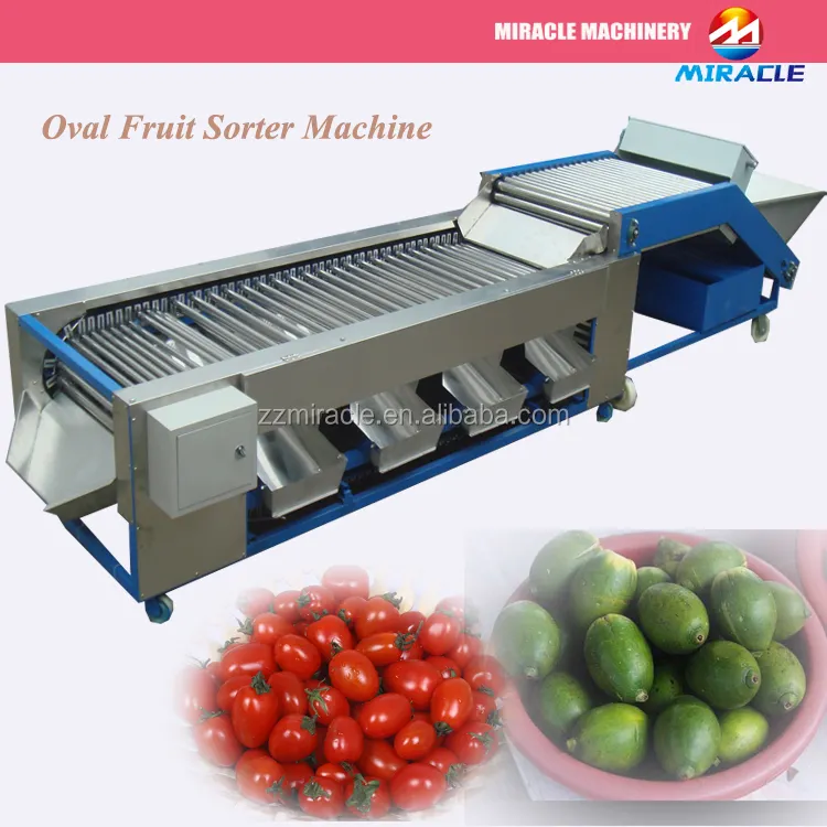 Lowest price!!!Manufacturer price Rail type oval shape vegetable and fruit jujube, dates,cherry tomato,olive classifier