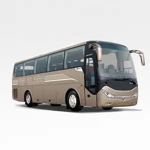 Bus kleur ontwerp Dongfeng 10 m lange tour bus 45 zits bus