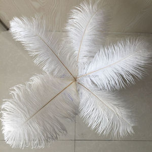 Trang Trí Tiệc Lông Đà Điểu 14-16Inch (35-40Cm) Để Bán Giá Rẻ - Product Image 2