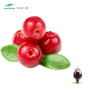 100% Natural Cranberry Extract Powder Proanthocyanidins 10%-50% with Best Quality