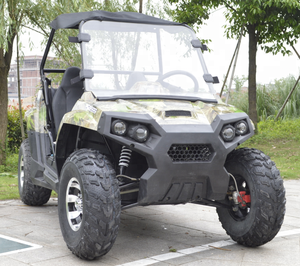 Bán Trực Tiếp Từ Nhà Máy 200/250/300cc CVT UTV Dune Buggy - Product Image 3