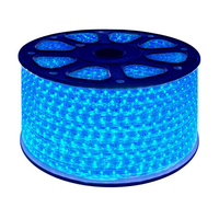 LED Rope Light Strip, 110V, 220V