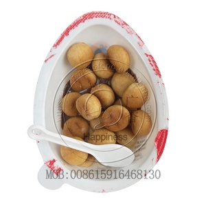Huevo <span class=keywords><strong>de</strong></span> <span class=keywords><strong>chocolate</strong></span> con galleta sorpresa fútbol privado personalizado Halal - Product Image 5