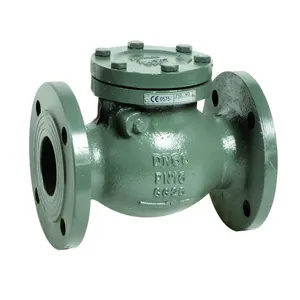 COVNA DN150 6インチPN16 Double Flange Type Cast Iron Non-Return Swing Check Valve